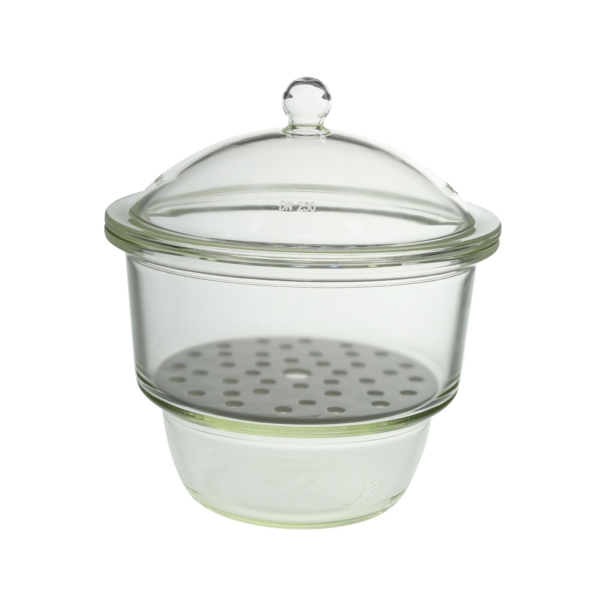 デシケーター DURAN 250