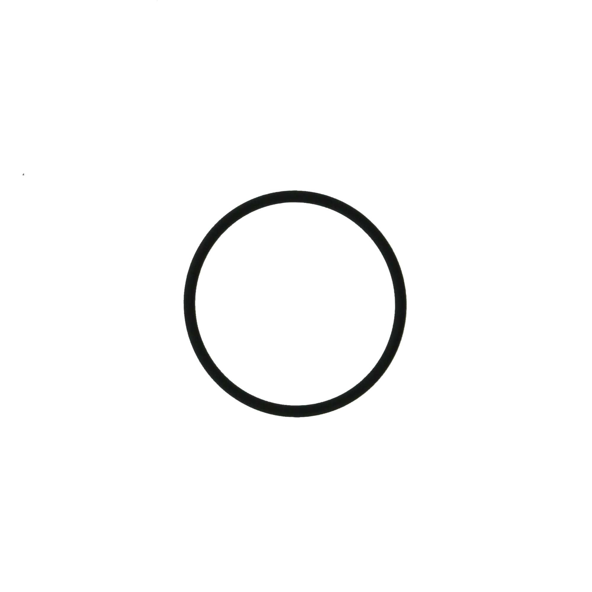 Oリング パーフロ CPP 加圧容器70mL用