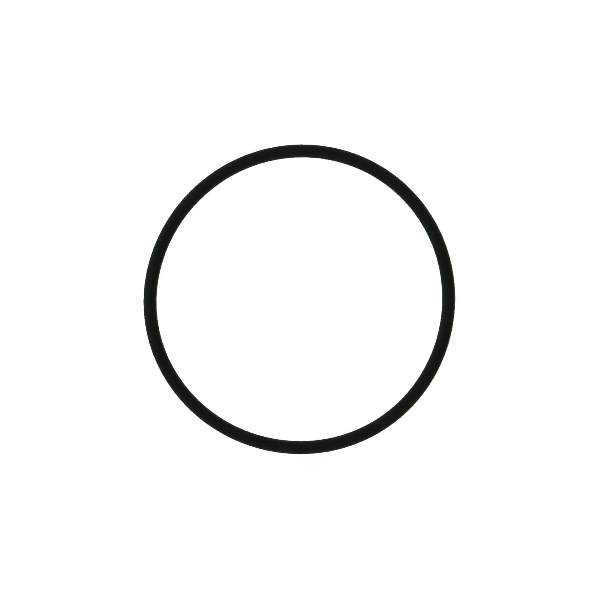 Oリング パーフロ CPP 加圧容器120mL用